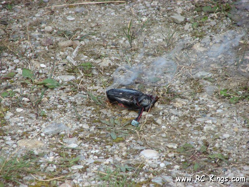 Lipo in Rauch aufgegangen (Nachtmann M.) (1).JPG